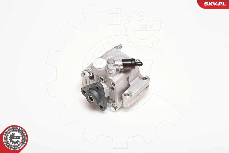 Hydraulic Pump, steering